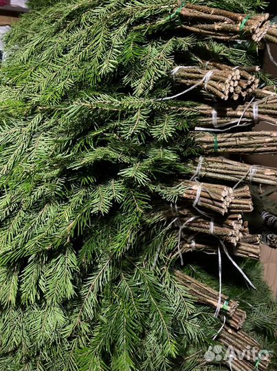 Пихтовые веники для бани