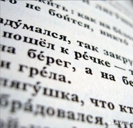 Репетитор по русскому языку и литературе, Огэ/Егэ