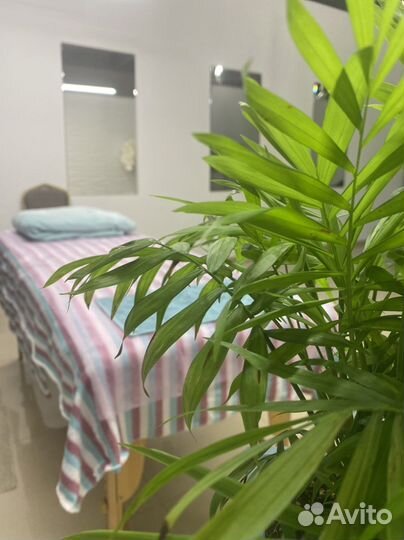 Массажи лица и тела. Тейпирование