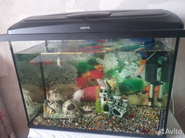 Аквариумы 100,60,50 литровые