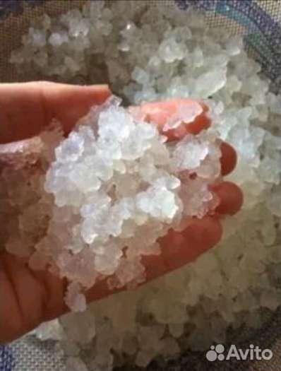 Индийский морской рис