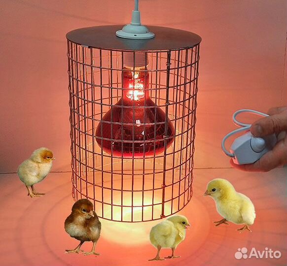 Брудер сетка для цыплят