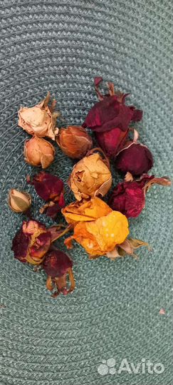 Бутоны роз. Сухоцвет. Творчество