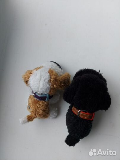 Две собачки вместе The dog collection