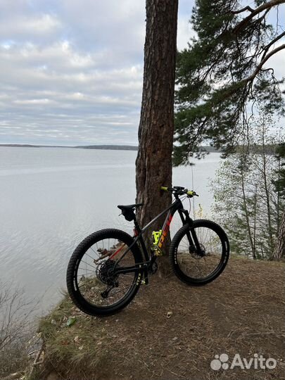 Горный велосипед Trek Roscoe 8 (2022)