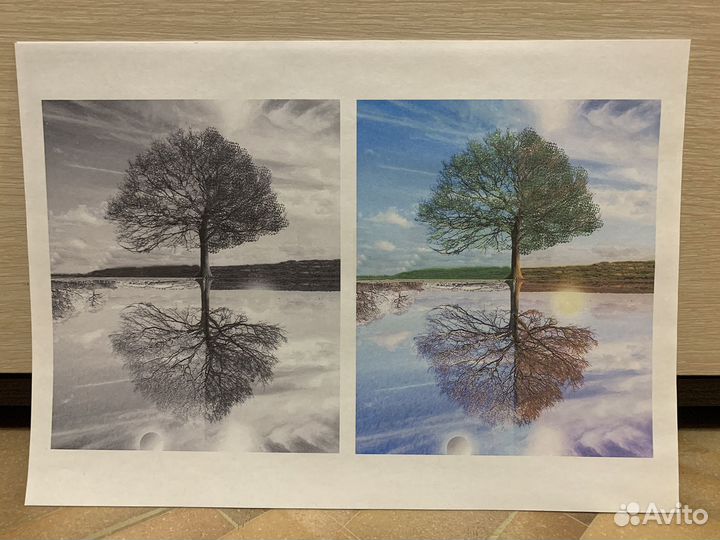 Мфу Epson EcoTank L3251