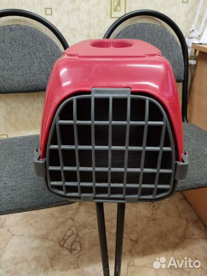 Переноска в аренду