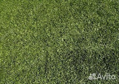 Газон от производителя
