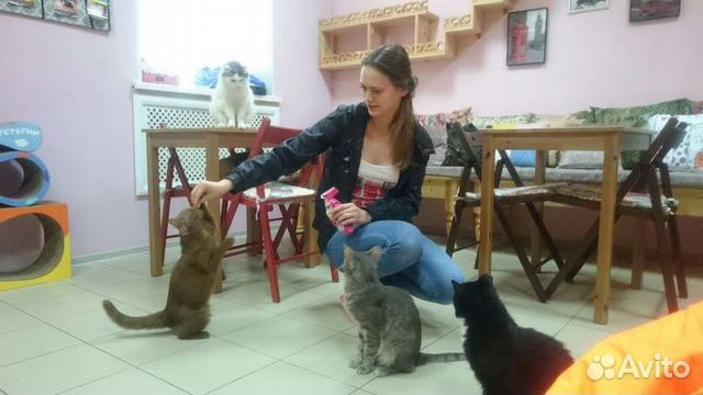 Зоопсихолог