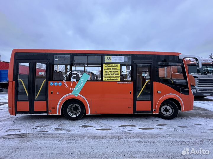 Междугородний / Пригородный автобус ПАЗ Вектор Next, 2024