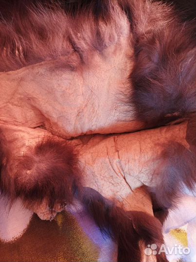 Шкурка лисы чернобурки
