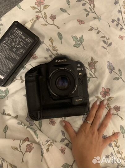 Canon eos 1ds + canon 50 1.8