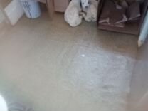 0 255 умножить на 28. 3 5 x 0 18. Х/3+х-1/2=4. Уравнение x=20. Саморез черный мелкий (по металлу)3,5*19мм (907шт) vip крепеж.