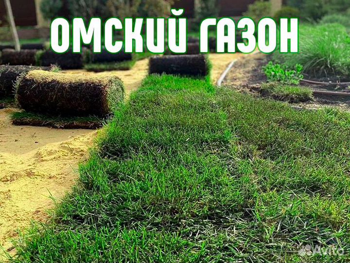 Рулонный газон «Изумруд»