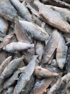 Печень трески