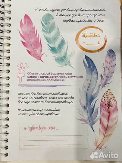 Дневник беременности