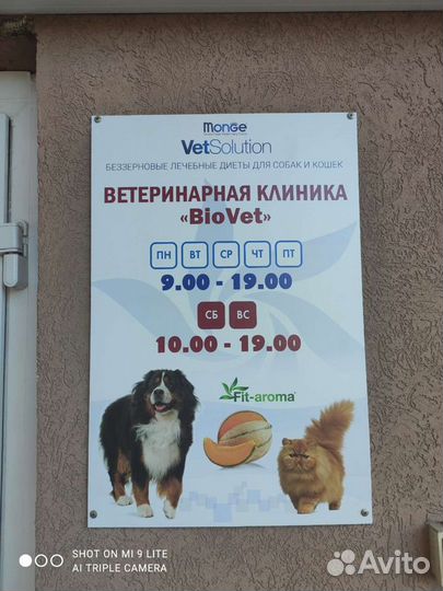 Ассистент ветеринарного врача