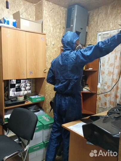 Уничтожение тараканов, клопов, и т.д