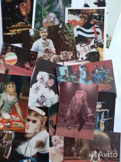 Календарики СССР, природа, животные