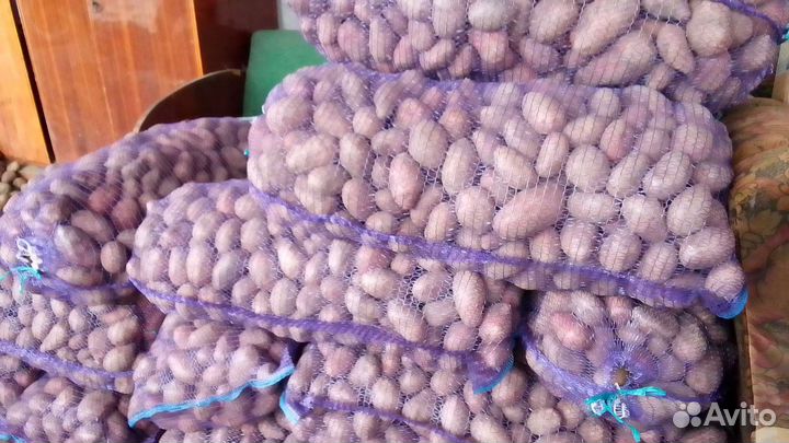 Продам картофель с доставкой