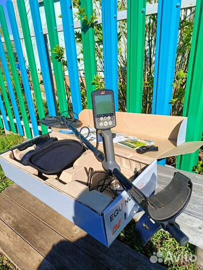 Minelab equinox 800