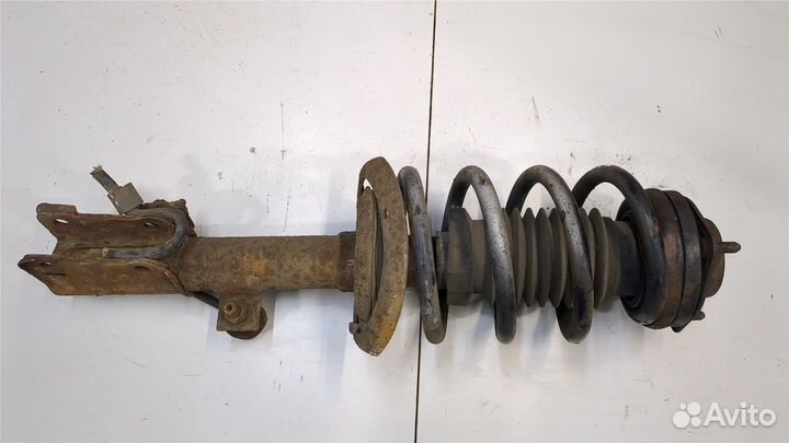 Амортизатор подвески Dodge Journey, 2009