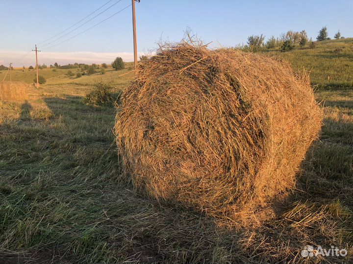 Сено в рулонах 2023. Доставка
