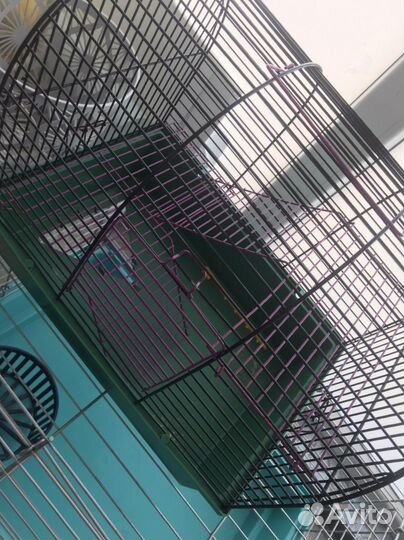 Клетка для грызунов бу