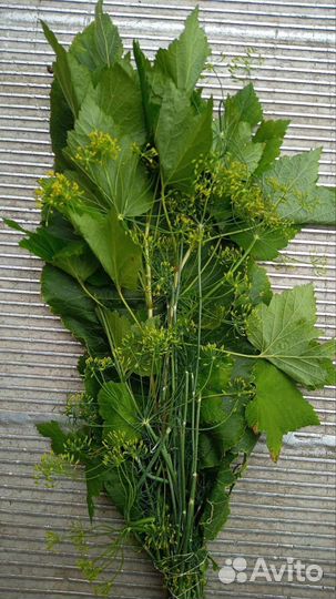 Домашние огурцы, помидоры, чеснок, зелень, мёд