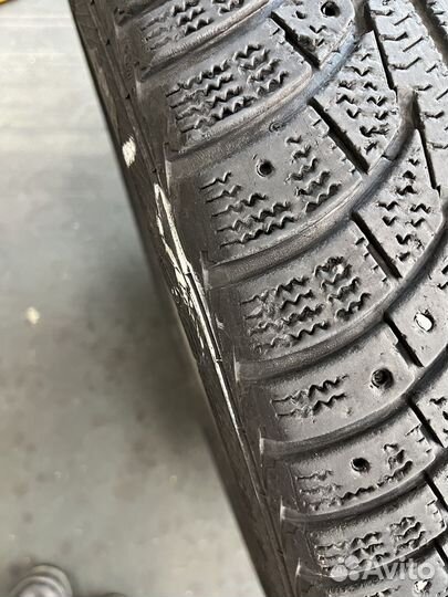 Gislaved Nord Frost 5 R16