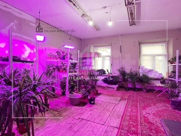 Продам офисное помещение, 49 м²