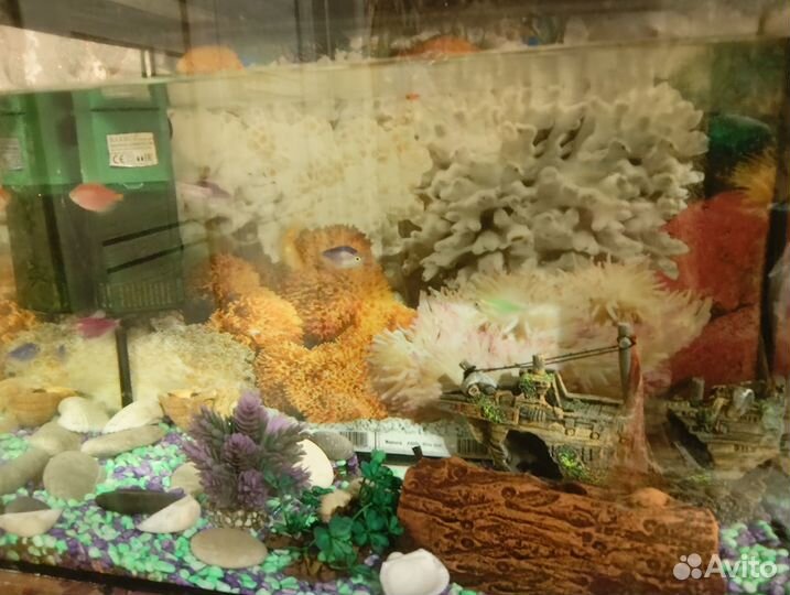 Аквариум