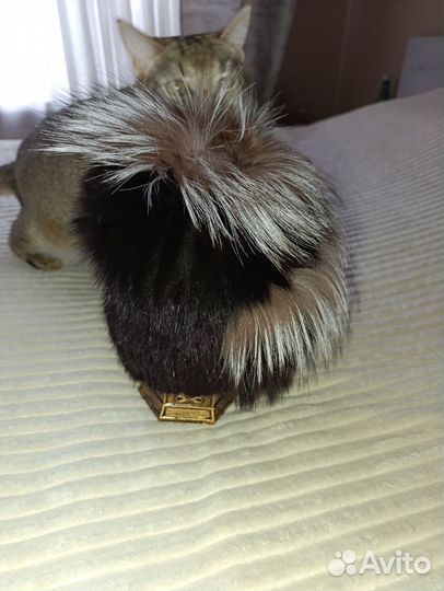 Шапка зимняя меховая женская норка