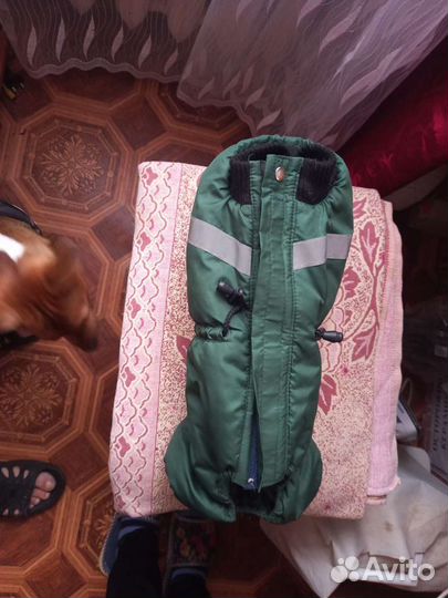 Комбинизон для собак маленких пород