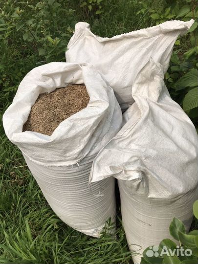 Газон строительный, семена газона опт розница