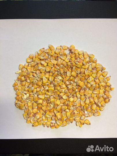 Корма для животных