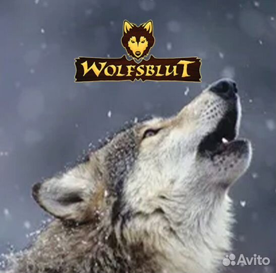 Сухой корм для собак Wolfsblut