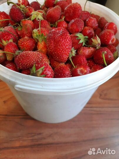 Клубника ананасная 5 литров 2000р с доставкой
