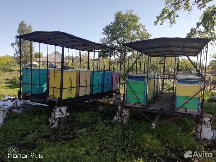 Улья двухьярусные 20 шт с пчелами и 2 прицепа