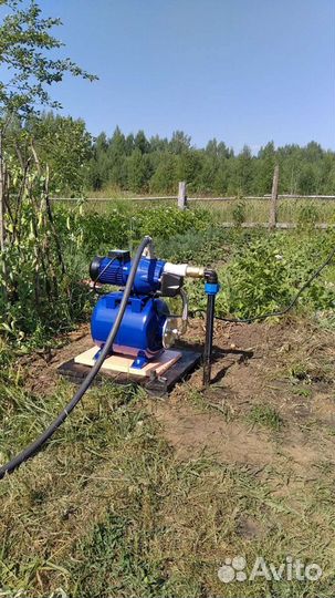 Абиссинская скважина. Опыт работы 12 лет