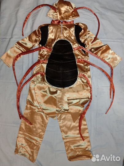 Костюм такракана (жука)