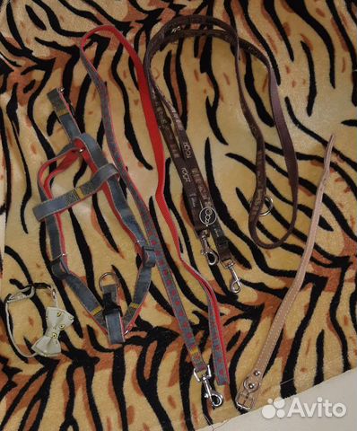 Поводки, шлейка, ошейник