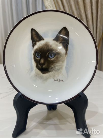 Тарелки фарфор Coalport, Кошки, Англия