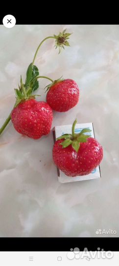 Азия