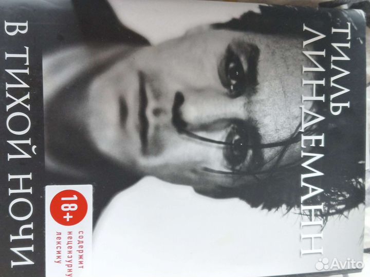 В тихой ночи. Тилль Линдеманн