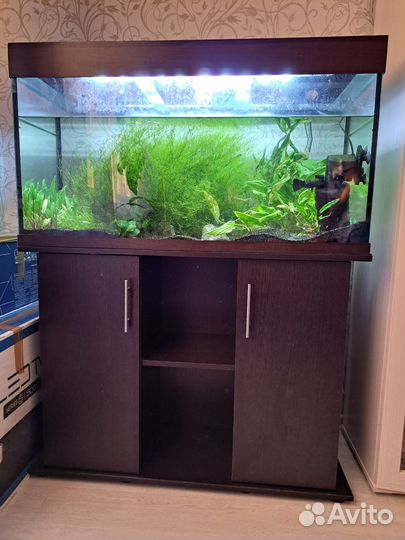 Аквариум на 200 литров