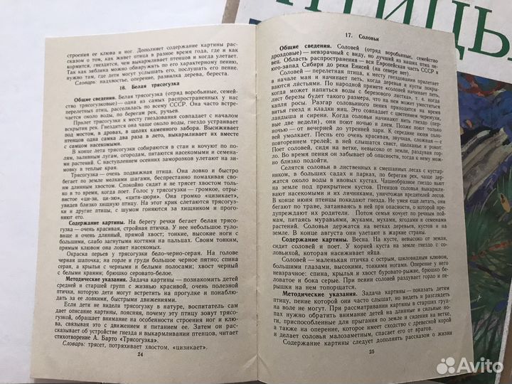 Птицы С. А. Веретенникова