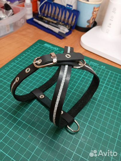 Кожаная шлейка с поводком