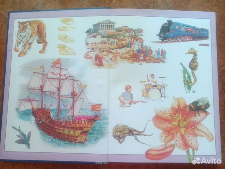 Золотая книга знаний