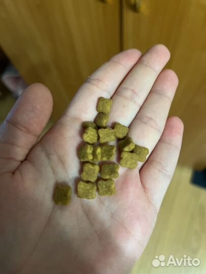 Корм для котят royal canin